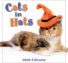 Load image into Gallery viewer, Sellers Publishing Cats In Hats 2026 7 x 7 Mini Calendar
