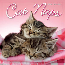 Load image into Gallery viewer, Sellers Publishing Cat Naps 2026 7 x 7 Mini Calendar

