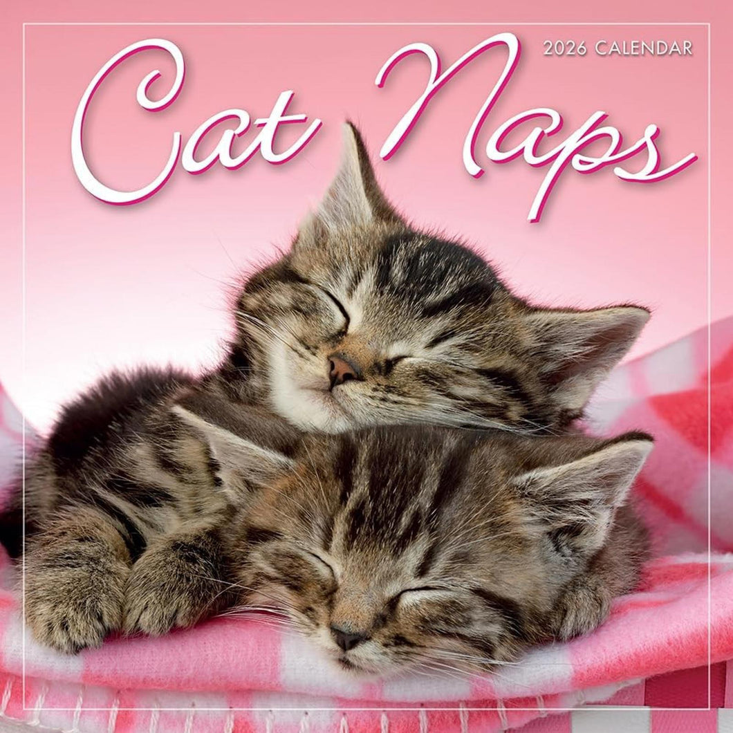 Sellers Publishing Cat Naps 2026 7 x 7 Mini Calendar