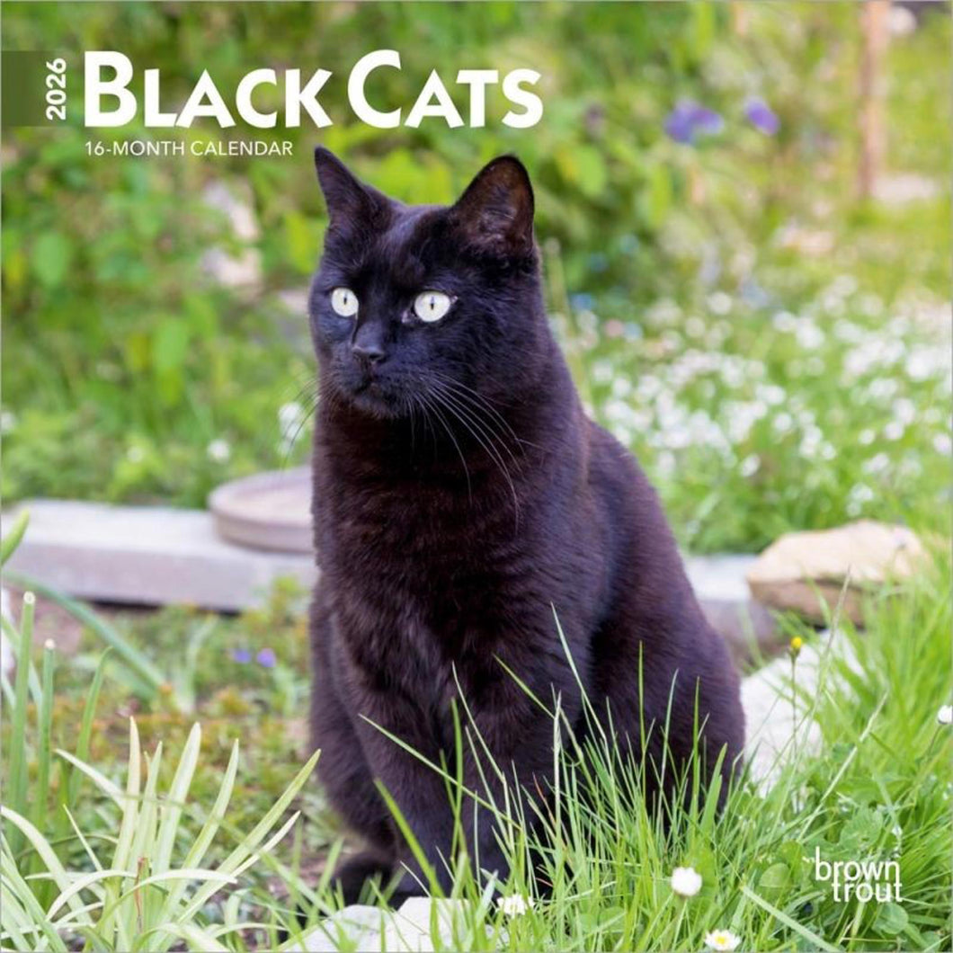 Browntrout Black Cats 2026 7 x 7 Mini Calendar