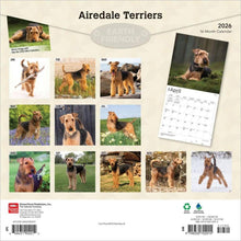 Load image into Gallery viewer, Browntrout Airedale Terriers 2026 12 x 12 Wall Calendar
