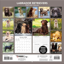 Load image into Gallery viewer, Turner Labrador Retrievers 12x12 Photo 2026 Wall Calendar
