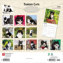 Load image into Gallery viewer, Browntrout Tuxedo Cats 2026 12 x 12 Wall Calendar
