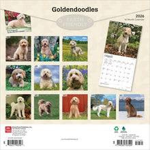 Load image into Gallery viewer, Browntrout Goldendoodles 2026 12 x 12 Wall Calendar
