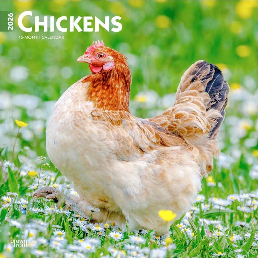 Browntrout Chickens 2026 12 x 12 Wall Calendar