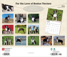 Load image into Gallery viewer, Browntrout For the Love of Boston Terriers 2026 14 x 12 Wall Calendar
