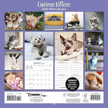 Load image into Gallery viewer, Turner Curious Kittens 12x12 Photo 2026 Wall Calendar
