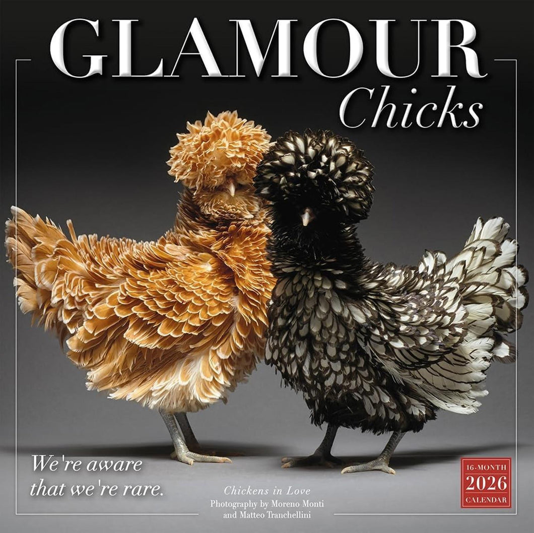 Sellers Publishing Glamour Chicks 2026 12 x 12 Wall Calendar