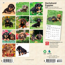 Load image into Gallery viewer, Browntrout Dachshund Puppies 2026 7 x 7 Mini Calendar

