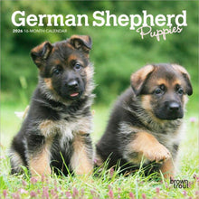 Load image into Gallery viewer, Browntrout German Shepherd Puppies 2026 7 x 7 Mini Calendar
