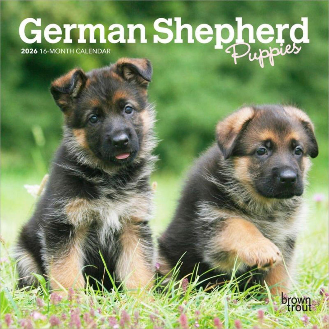Browntrout German Shepherd Puppies 2026 7 x 7 Mini Calendar