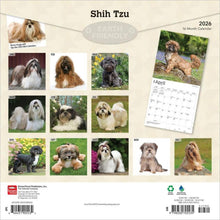 Load image into Gallery viewer, Browntrout Shih Tzu 2026 12 x 12 Wall Calendar
