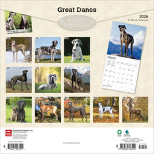 Load image into Gallery viewer, Browntrout Great Danes 2026 12 x 12 Wall Calendar
