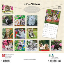 Load image into Gallery viewer, Browntrout I Love Kittens 2026 12 x 12 Wall Calendar
