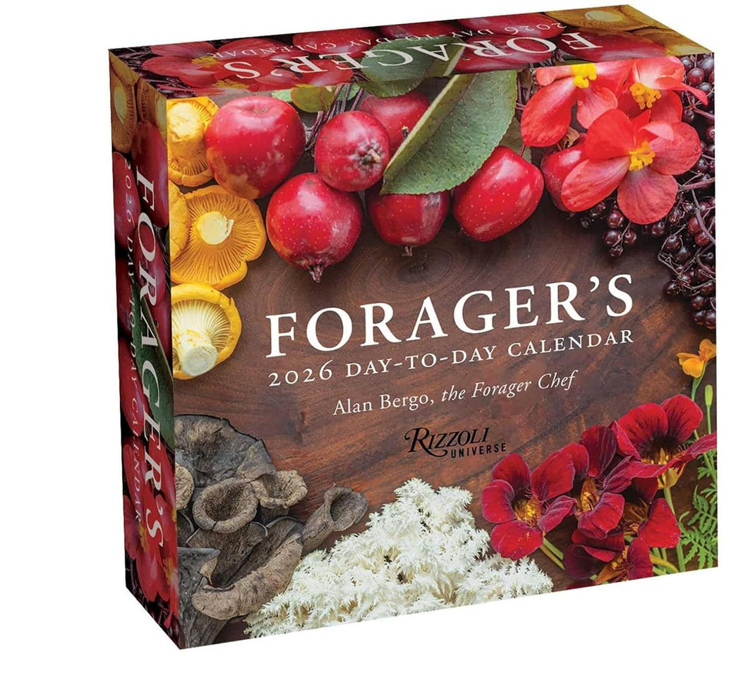Universe Forager's 2026 Day-to-Day Calendar