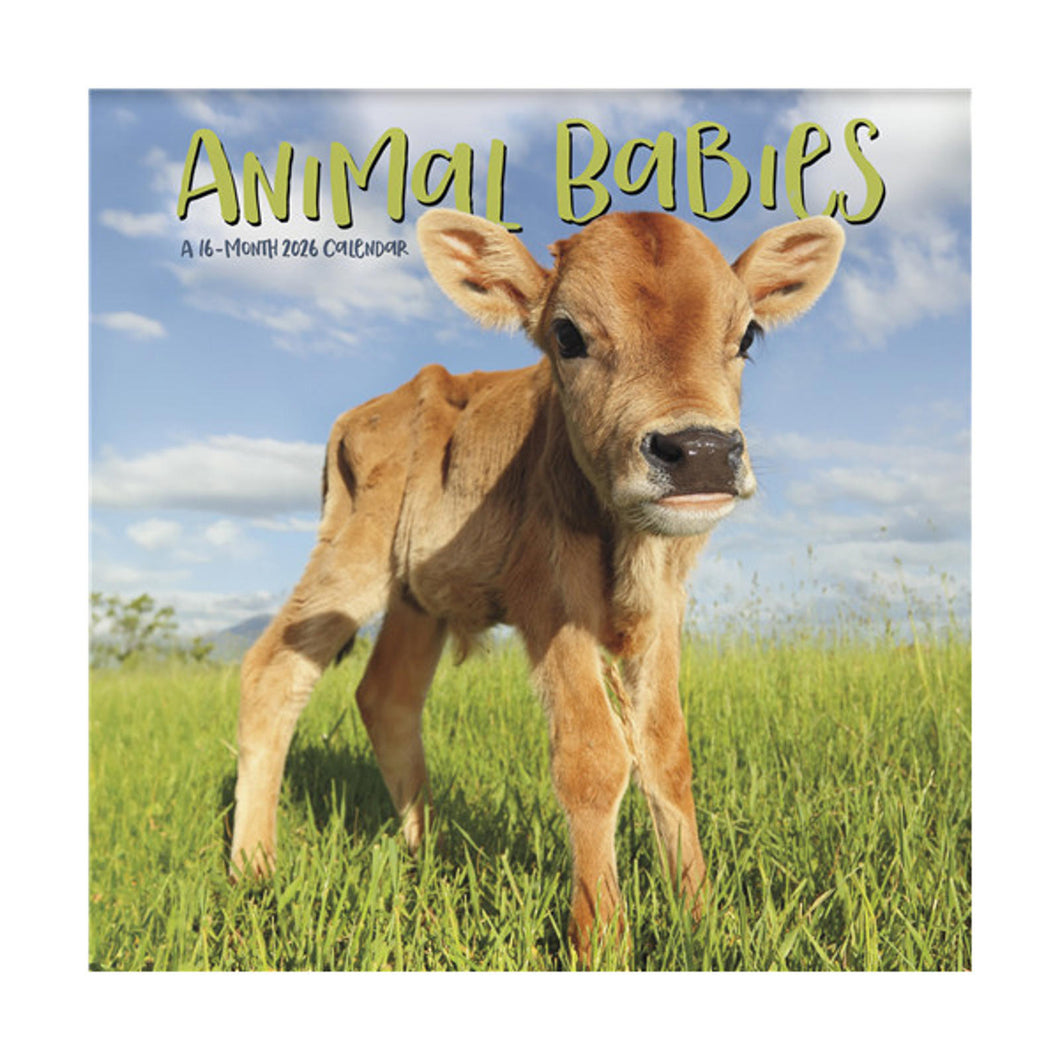 Trends International Animal Babies 2026 7 x 7 Mini Calendar