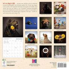 Load image into Gallery viewer, Sellers Publishing Dogma 2026 12 x 12 Wall Calendar

