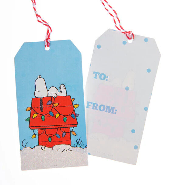 Graphique Peanuts™ Single Holiday Gift Tags 16ct