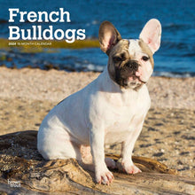 Load image into Gallery viewer, Browntrout French Bulldogs 2024 12 x 12 Wall Calendar
