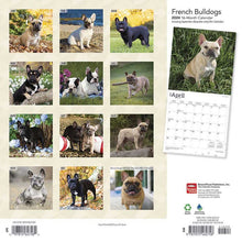 Load image into Gallery viewer, Browntrout French Bulldogs 2024 12 x 12 Wall Calendar
