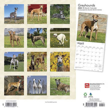 Load image into Gallery viewer, Browntrout Greyhounds 2024 12 x 12 Wall Calendar
