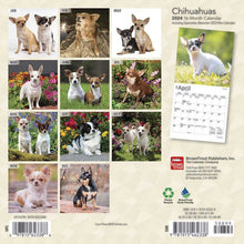 Load image into Gallery viewer, Browntrout Chihuahuas 2024 7 x 7 Mini Calendar
