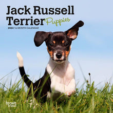 Load image into Gallery viewer, Browntrout Jack Russell Terrier Puppies 2024 7 x 7 Mini Calendar
