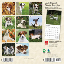 Load image into Gallery viewer, Browntrout Jack Russell Terrier Puppies 2024 7 x 7 Mini Calendar
