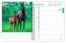 Load image into Gallery viewer, Browntrout Horse Lovers 2024 6 x 7.75 Inch Engagement Planner
