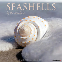 Load image into Gallery viewer, Willow Creek Seashells 2024 12 x 12 Wall Calendar
