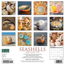 Load image into Gallery viewer, Willow Creek Seashells 2024 12 x 12 Wall Calendar
