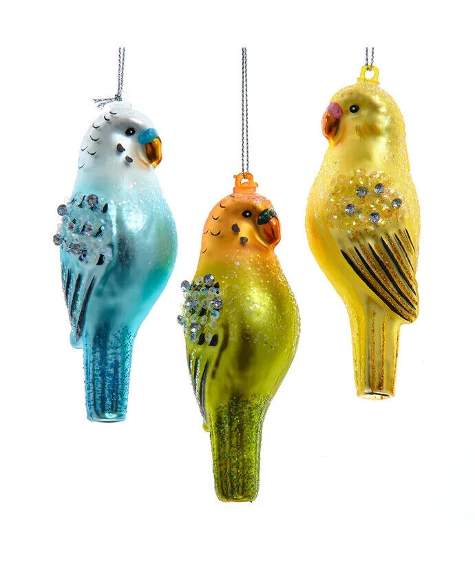 Set of 3 Noble Gems™ Glass Parakeet Ornaments NB1761