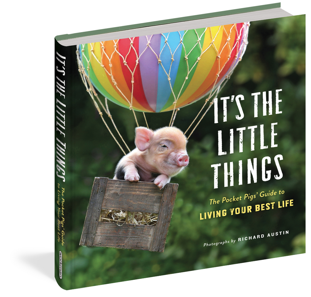 Workman  It's the Little Things The Pocket Pigs' Guide to Living Your Best Life