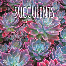 Load image into Gallery viewer, Turner Succulents 2024 Wall Calendar
