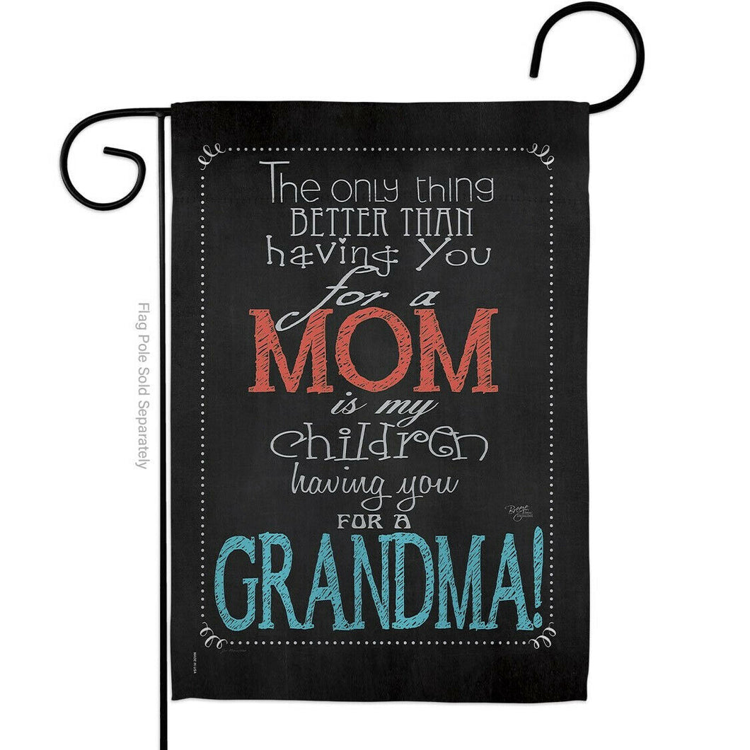 Two Group Flag Mom Grandma Family Mother Day Decor Flag