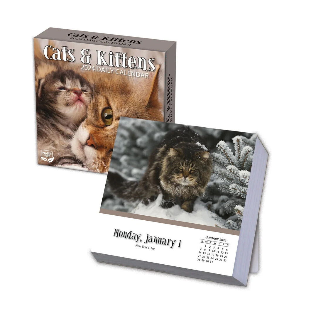 Turner Cats & Kittens 2024 Daily Boxed Calendar
